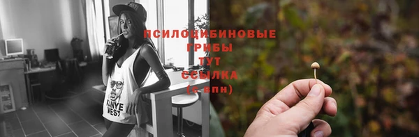 шишки Переславль-Залесский