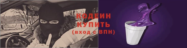 шишки Переславль-Залесский