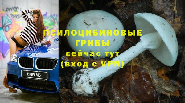шишки Переславль-Залесский