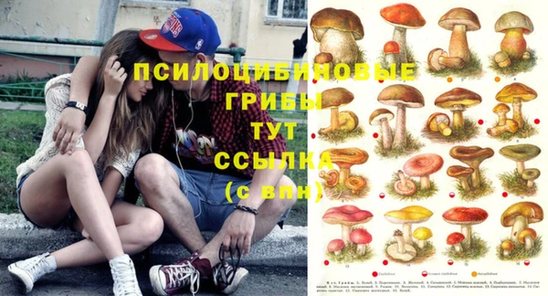 каннабис Пестово