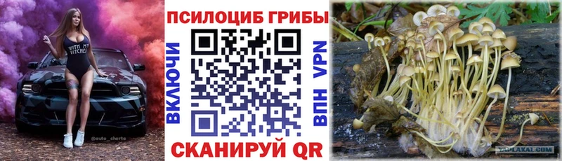 Галлюциногенные грибы Cubensis  купить   OMG ТОР  Кушва 