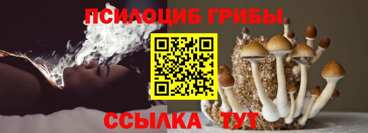 Кушва  Галлюциногенные грибы мухоморы  Псилоцибиновые грибы ЛСД  Вход с VPN 